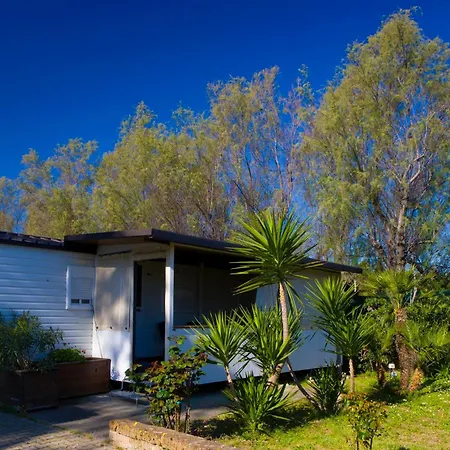 Grotta Del Saraceno Vasto